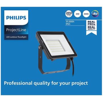 Philips - LED Zunanji reflektor PROJECTLINE LED/30W/230V IP65 4000K