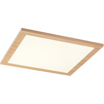 Rabalux - LED Vgradni panel LED/12W/230V 4000K