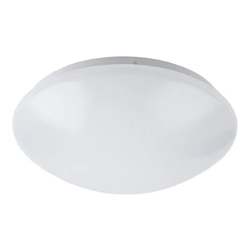 Rabalux - LED Stropna svetilka LED/12W/230V