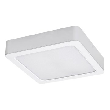 Rabalux - LED Stropna svetilka LED/7W/230V 4000K 12x12 cm bela