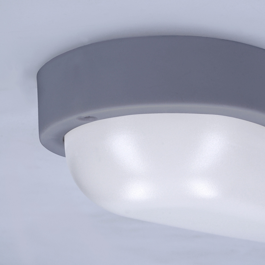 LED Zunanja stenska svetilka LED/13W/230V 4000K IP54 siva oval