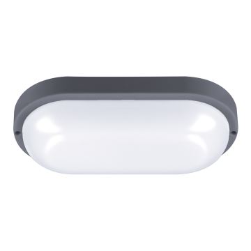 LED Zunanja stenska svetilka LED/20W/230V 4000K IP54 siva oval