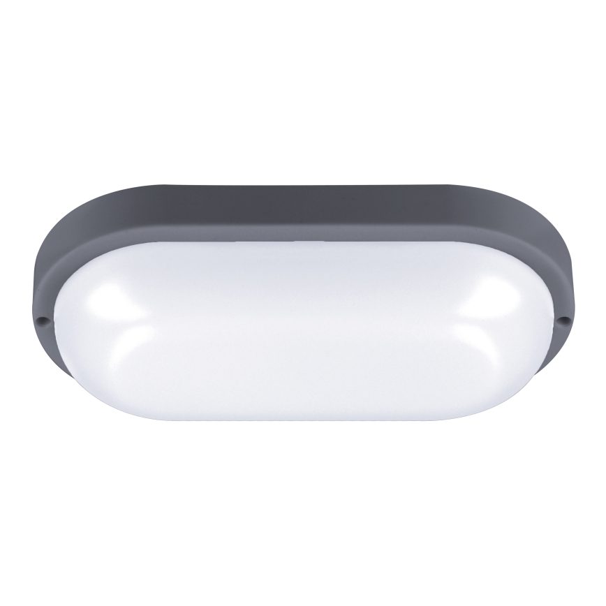 LED Zunanja stenska svetilka LED/20W/230V 4000K IP54 siva oval