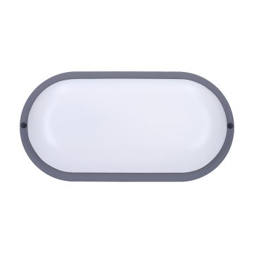 LED Zunanja stenska svetilka LED/20W/230V 4000K IP54 siva oval