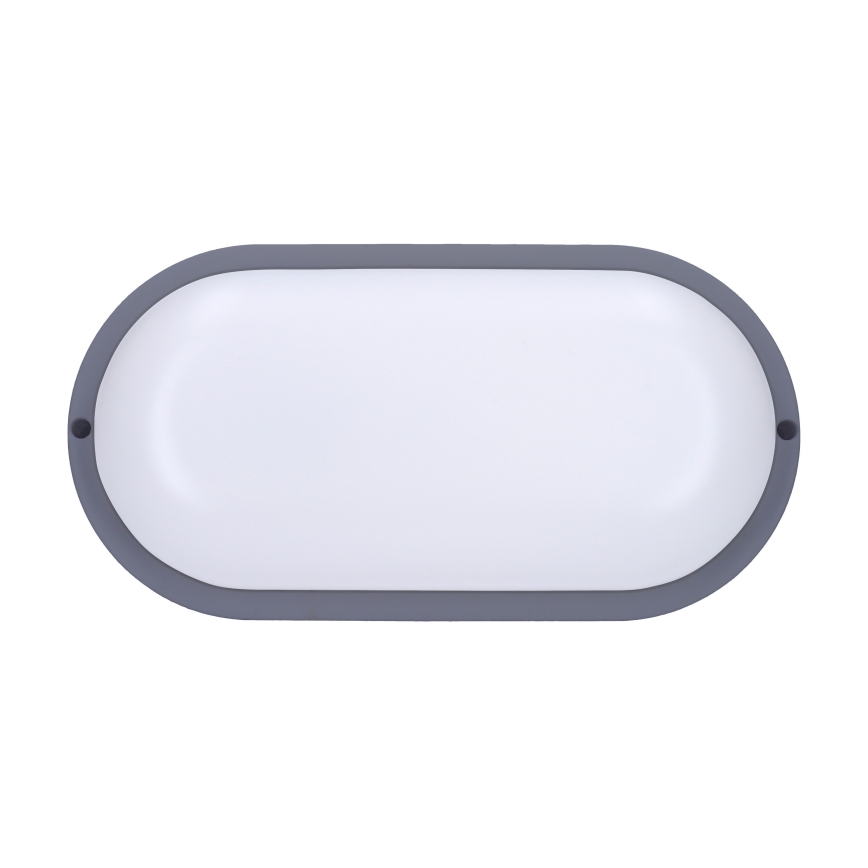 LED Zunanja stenska svetilka LED/20W/230V 4000K IP54 siva oval