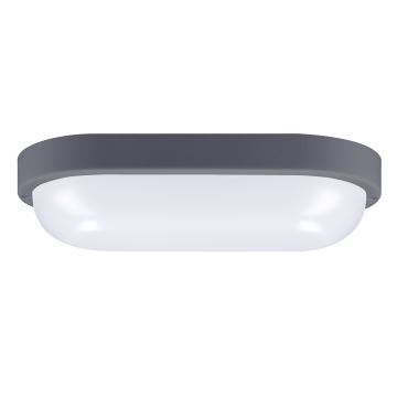 LED Zunanja stenska svetilka LED/20W/230V 4000K IP54 siva oval