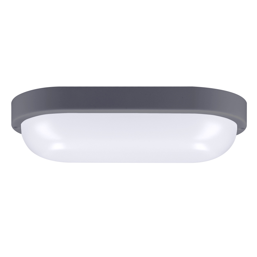 LED Zunanja stenska svetilka LED/20W/230V 4000K IP54 siva oval