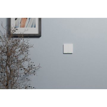 TESLA Smart - Pametno stikalo 2P 230V Zigbee