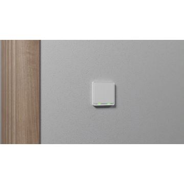 TESLA Smart - Pametno stikalo 2P 230V Zigbee