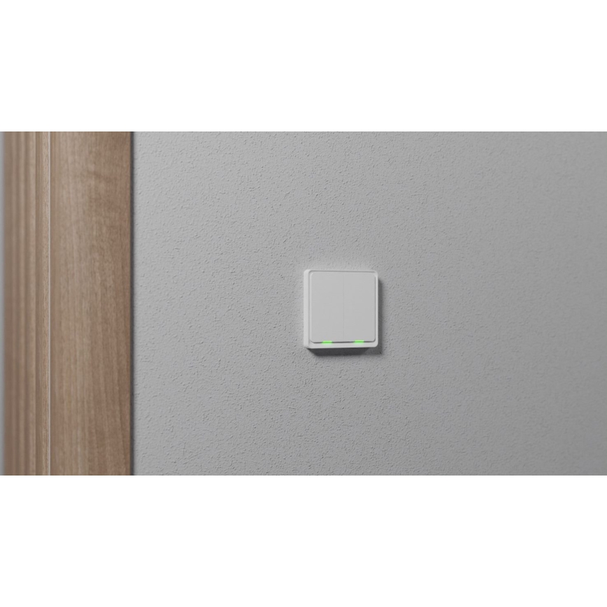 TESLA Smart - Pametno stikalo 2P 230V Zigbee