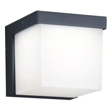 Trio - LED Zunanja stenska svetilka YANGTZE LED/4,5W/230V IP54 3000K