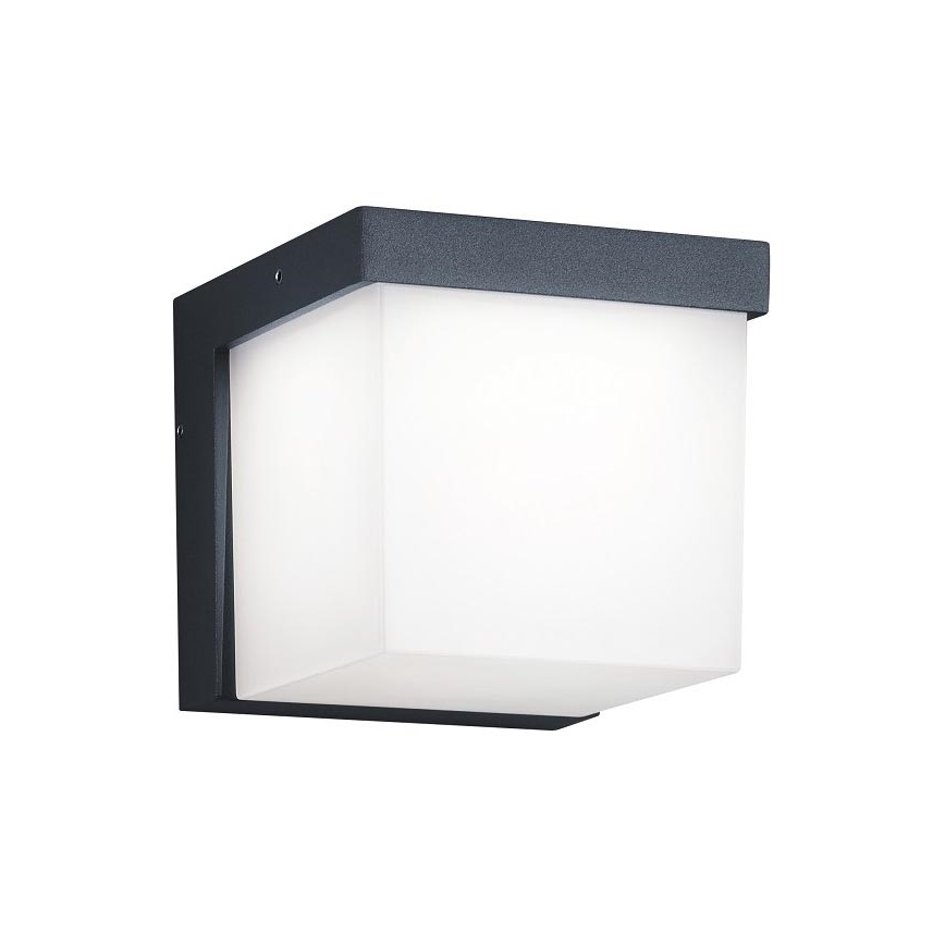 Trio - LED Zunanja stenska svetilka YANGTZE LED/4,5W/230V IP54 3000K